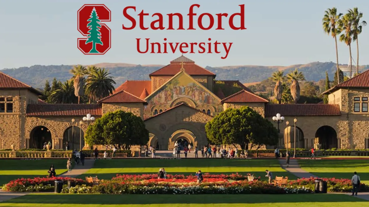 My experience working in tech for a beer company